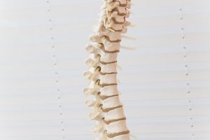 What is a Spinal Subluxation?